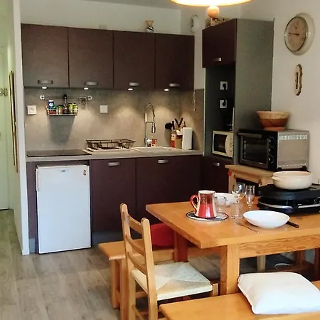 2 Pieces Cabine, Au Pied Des Pistes De Prapoutel, Balcon Sud-est, Ascenseur, 6 Pers - Fr-1-771-55 Apartament